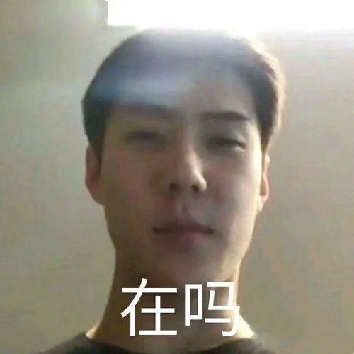  沙雕聊天表情包i问过自己配不配了吗