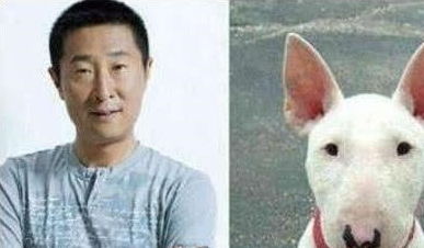  当狗狗长了一张明星脸,你看这个狗它既像孙红雷又像林永健