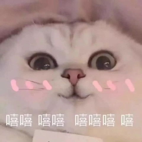 我喜欢你说出来太尬试试这波暗示性表情包,杀伤力极强