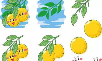  糖友们最应补充的4种维生素