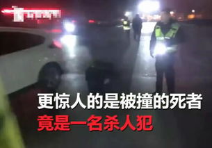  剧情大逆转山东一男子撞死人让妻子顶包,而死者竟然刚杀了儿媳