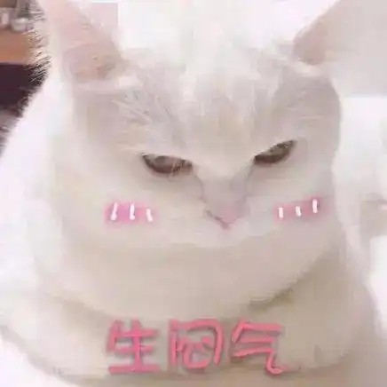  糟糕是那种感觉丨第145期喵表情