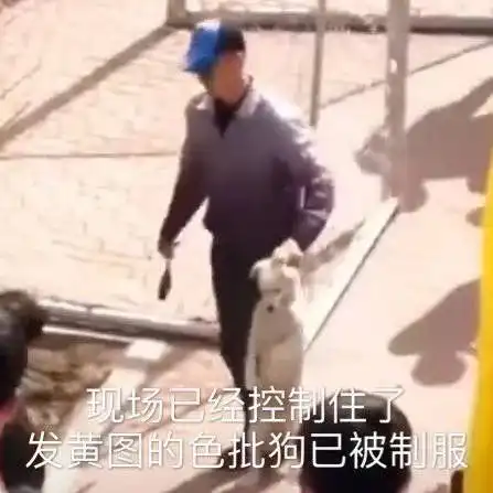 斗图精选表情包在吗出来挨打 斗图精选表情包在吗出来挨打