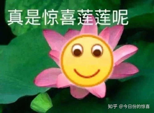  如何客观评价范冰冰的长相