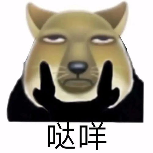  表情包不要搞我了好不好