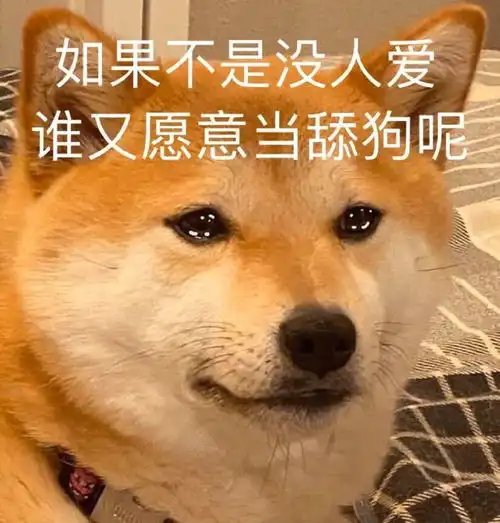 向大佬低头图片表情包狗