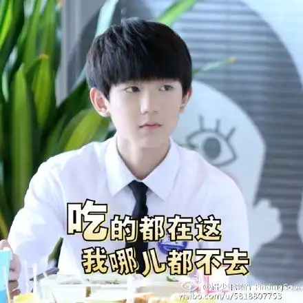 tfboy表情包张小凡