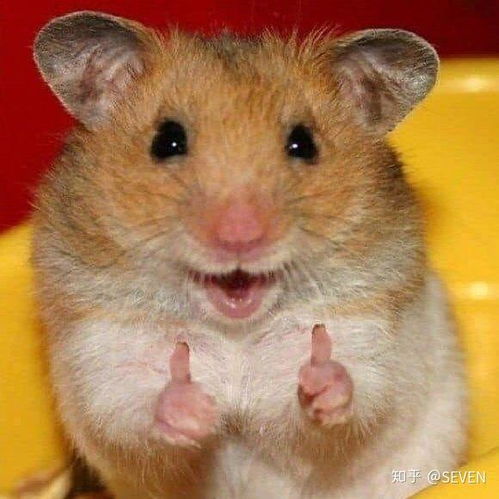 万能的知乎朋友们,我还是很头疼改怎么选择水乳霜面膜等等这些化妆品,怎么搞 万能的知乎朋友们,我还是很头疼改怎么选择水乳霜面膜等等这些化妆品,怎么搞