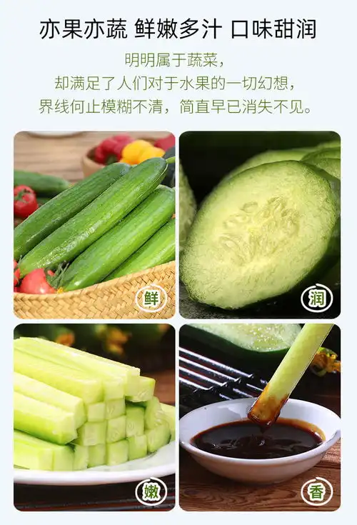 顺丰快递包邮新鲜黄瓜生吃水果小黄瓜孕妇水果山东寿光蔬菜果蔬 顺丰快递包邮新鲜黄瓜生吃水果小黄瓜孕妇水果山东寿光蔬菜果蔬