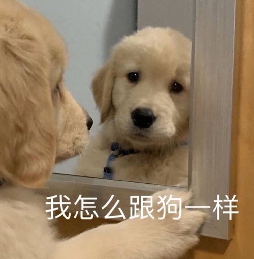  我大概知道我为什么会母胎了