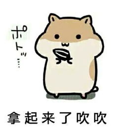  仓鼠吃瓜子表情包图片下载仓鼠吃瓜子表情包高清无水印极光下载站