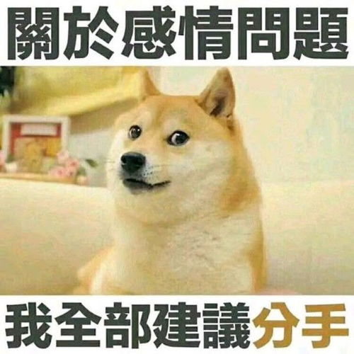  马斯克将推特logo改为狗狗币doge表情,意欲何为