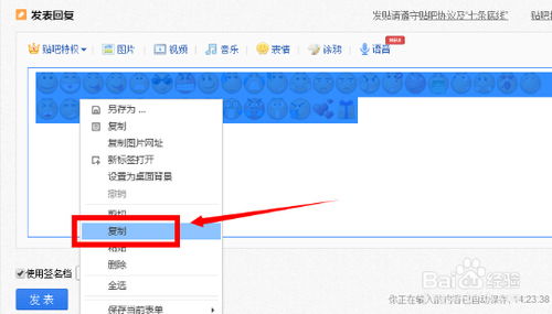  贴吧泡泡表情能导入手机qq里吗