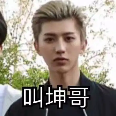 蔡徐坤发型表情包鬼畜表