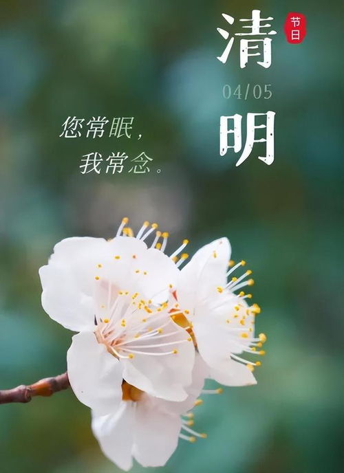 清明节早上问候表情图