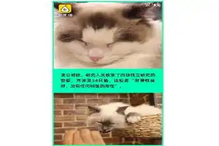 奇闻怪事表情包gif过敏