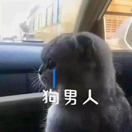  沙雕表情包丨能把你男朋友借我玩两天吗