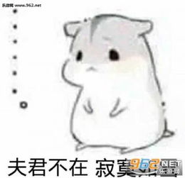  七夕找对象表情包七夕仓鼠找夫君表情包无水印版下载乐游网手机下载站