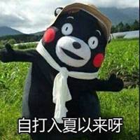  微信头像熊本熊夏天微信头像图片大全