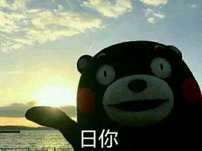  史上最污的撩汉撩妹表情包,亮瞎钛合金狗眼,给跪了