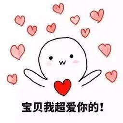  长沙爱情故事岳麓之巅说爱你