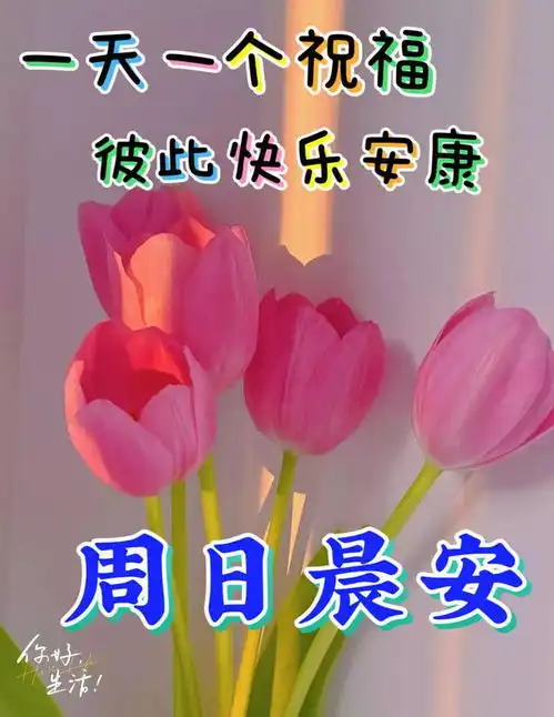 2023年8月20日周日早上好,精选周末早安祝福语创意表情包图片带字带问候语 2023年8月20日周日早上好,精选周末早安祝福语创意表情包图片带字带问候语