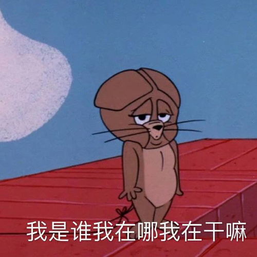  表情包这是什么人间疾苦
