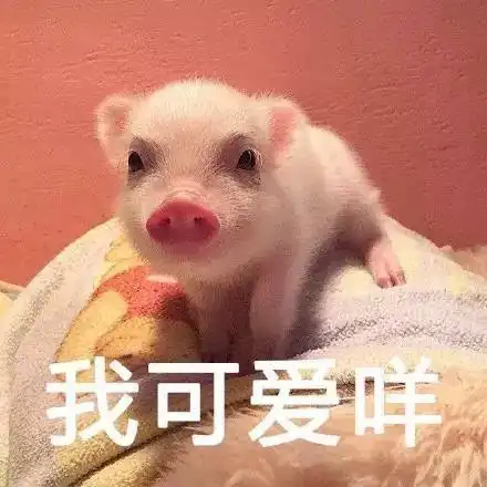  浓妆的林允,淡妆的范冰冰,都输给了仙女妆的刘亦菲