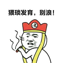  昌河欲步陆风后尘,新车a6让bba挨个叹气