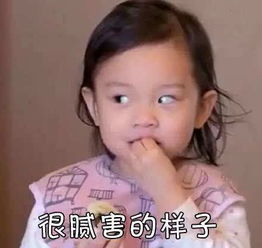 美了美了歌词表情包东方