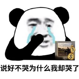 请开始你的表演表情包竟