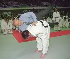 世界名人表情包体检