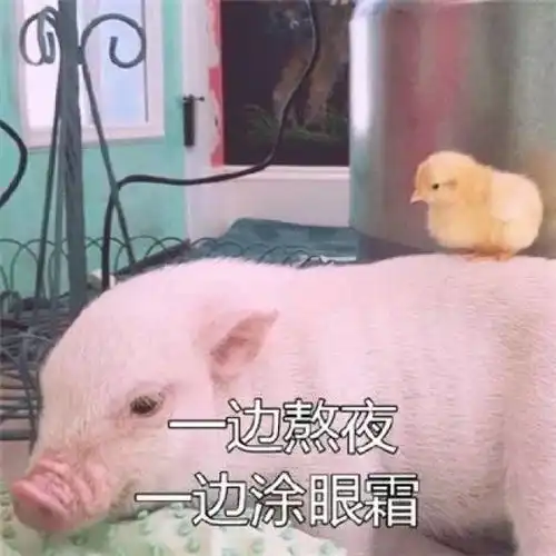 20个2018春晚搞笑关键词神预测 20个2018春晚搞笑关键词神预测