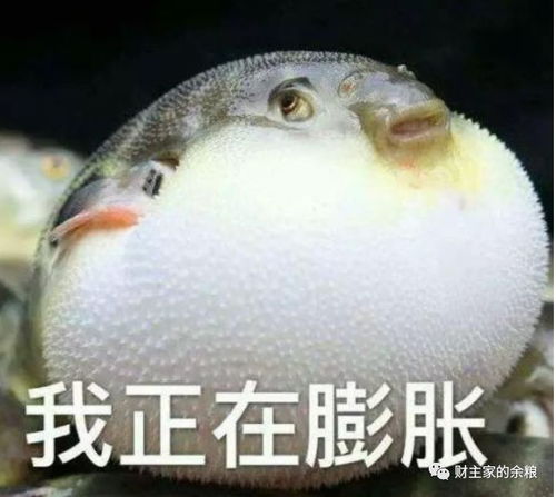  一台比特币矿机,每天能挣多少钱