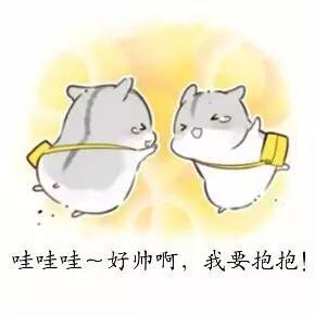 小灰兔可爱的表情包愚孝