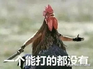  鸡的世界你懂吗富阳版鸡年表情包,机智的你们快进来
