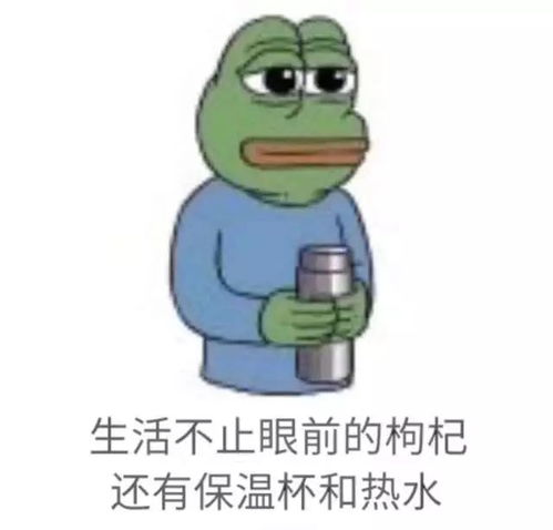 没钱了图片表情包微信