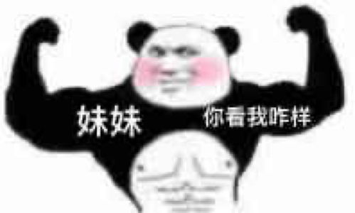  熊猫脸搞笑表情包2