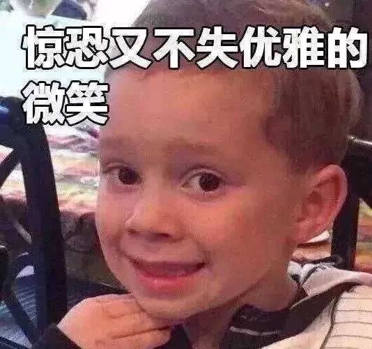 你可真机智表情包德国
