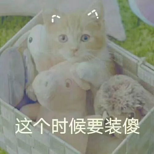  3块钱的名创优品新品好用到尖叫再不抢就断货啦