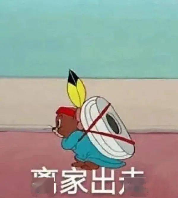  讲讲我在美国上学的这九年