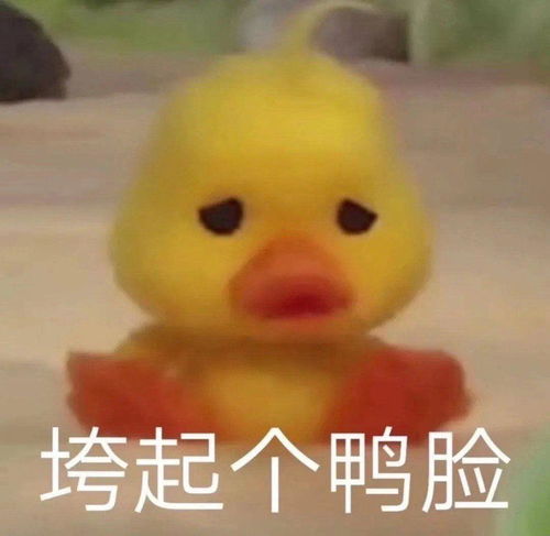  有哪些神回复的沙雕文案