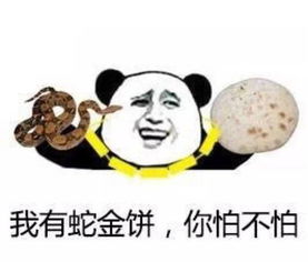  有了这玩意,感觉羊们能玩一辈子