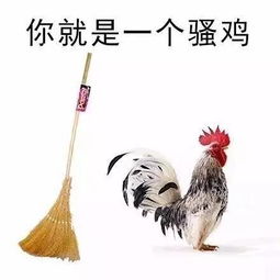  你就是一个那啥