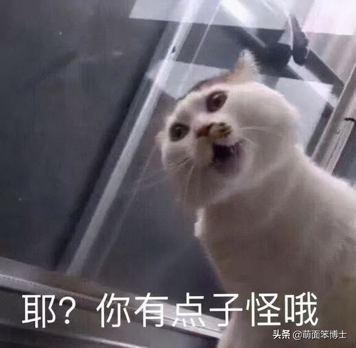  mq多个消费者消费一个消息罗永浩一个靠翻车赢得消费者口碑的最牛打工人...