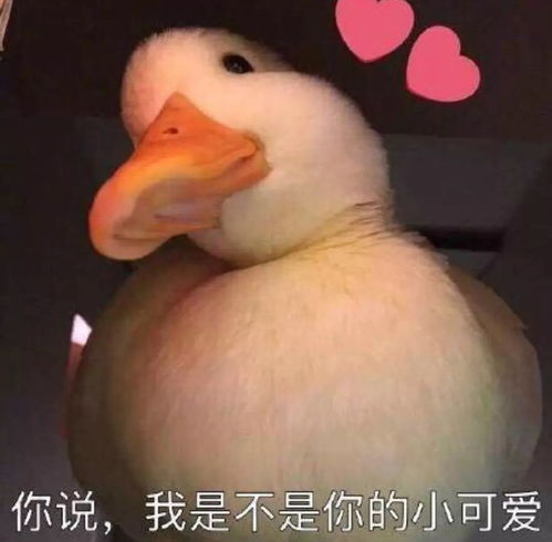 得瑟的表情包带字头像