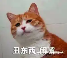 猫猫记仇表情包
