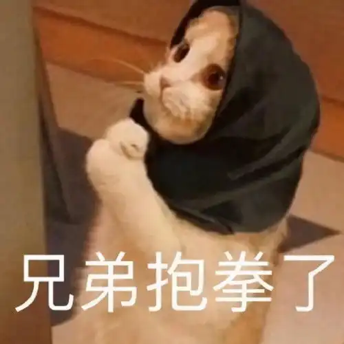 可爱沙雕表情包零下几度,可别冻坏了我的宝贝 可爱沙雕表情包零下几度,可别冻坏了我的宝贝