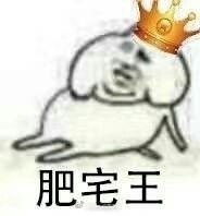  社会肥宅表情包