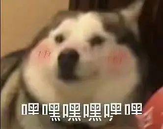 腹黑大灰狼x单纯小白兔,这对神仙cp太上头了,一起来磕颜磕糖 腹黑大灰狼x单纯小白兔,这对神仙cp太上头了,一起来磕颜磕糖